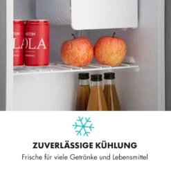 Snoopy Eco Mini-Kühlschrank Mit Gefrierfach 41 Liter 39dB -Bestes Haushaltsgeräte Geschäft 10032855 de 0005 logo