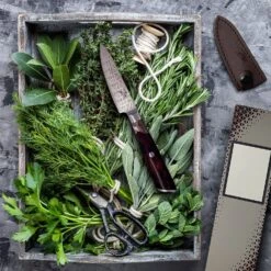 Infinity Wave 4" Schälmesser 61 HRC Damaszenerstahl -Bestes Haushaltsgeräte Geschäft 10039038 yy 0003 logo