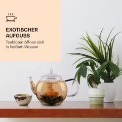 Feelino 6er Teeblume Mix Grün 9 Feelino 6er Teeblume Mix Grün -Bestes Haushaltsgeräte Geschäft 10040407 de 0003 logo