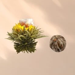 Feelino 6er Teeblume Mix Grün 13 Feelino 6er Teeblume Mix Grün -Bestes Haushaltsgeräte Geschäft 10040407 yy 0007 logo