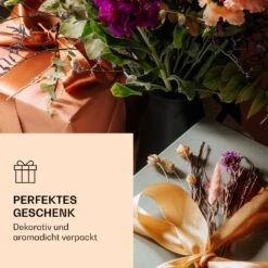 Bedida Teekanne 1300ml Inkl 6 Teerosen Mix -Bestes Haushaltsgeräte Geschäft 10040533 de 0005 logo