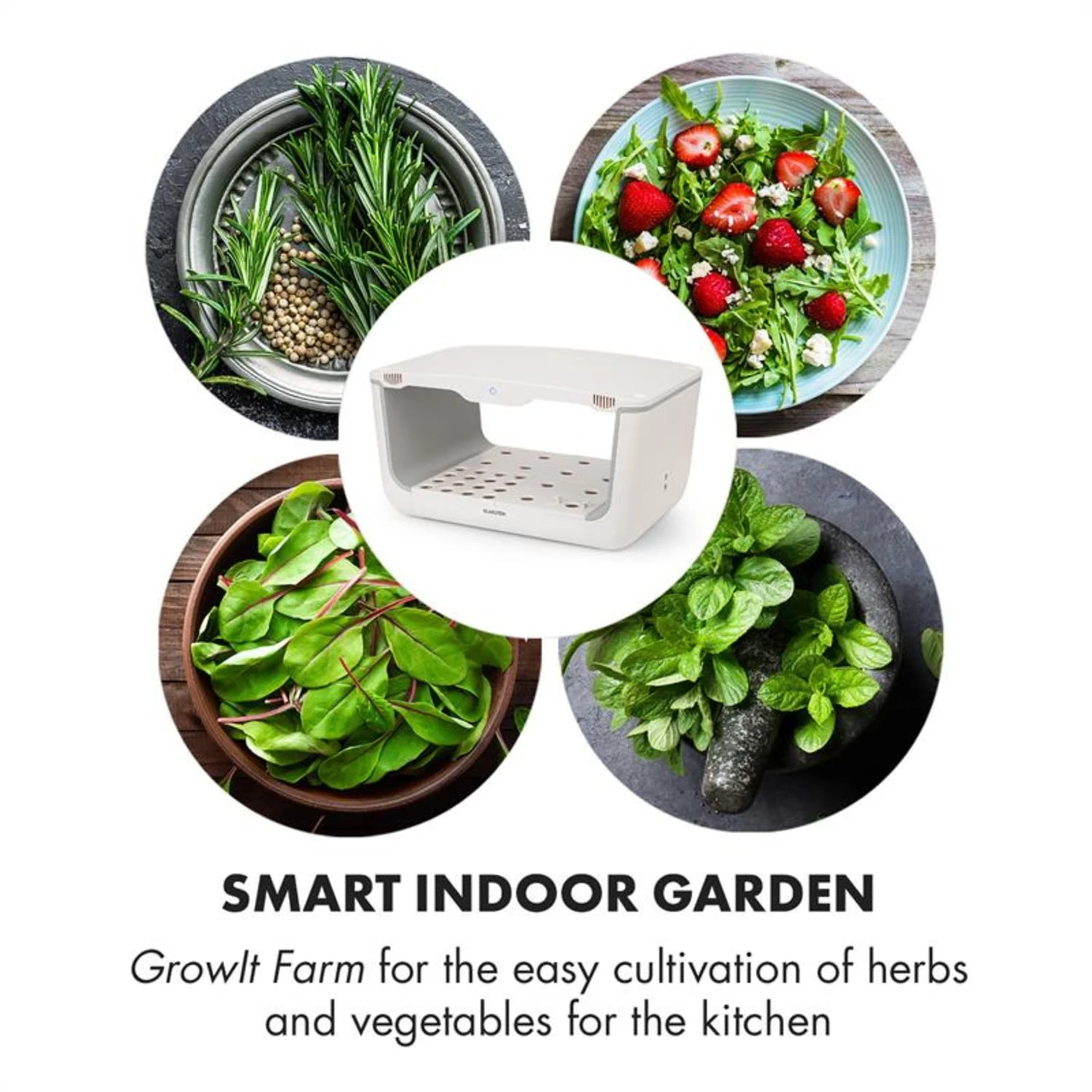 GrowIt Farm Starter Kit Salad 28 Pflanzen 48W 8 Ltr Salad-Seeds Nährlösung 4 GrowIt Farm Starter Kit Salad 28 Pflanzen 48W 8 Ltr Salad-Seeds Nährlösung – Bild 4