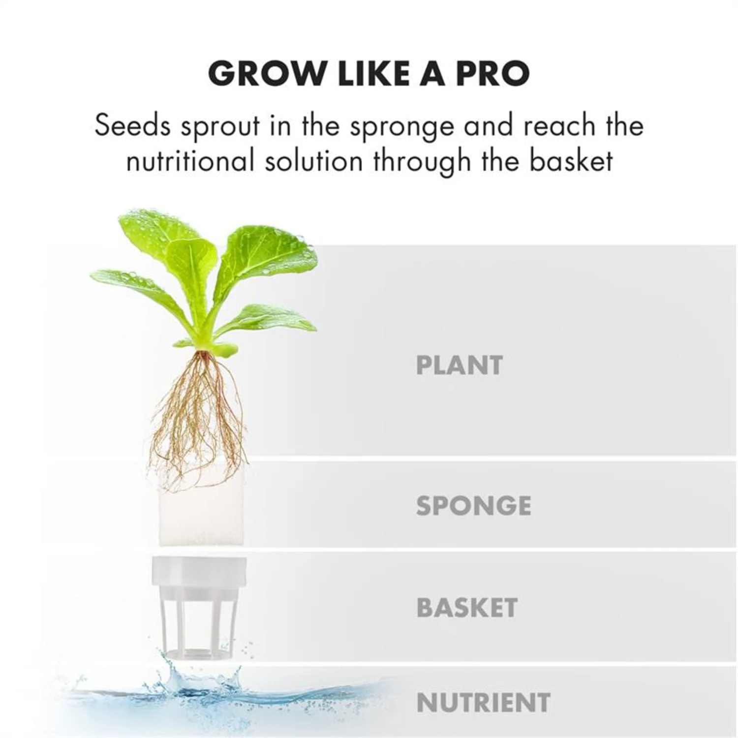 GrowIt Cuisine Starter Kit Europa 12 Pflanzen 25W LED 2Ltr Europe-Seeds Nährlösung 8 GrowIt Cuisine Starter Kit Europa 12 Pflanzen 25W LED 2Ltr Europe-Seeds Nährlösung – Bild 8